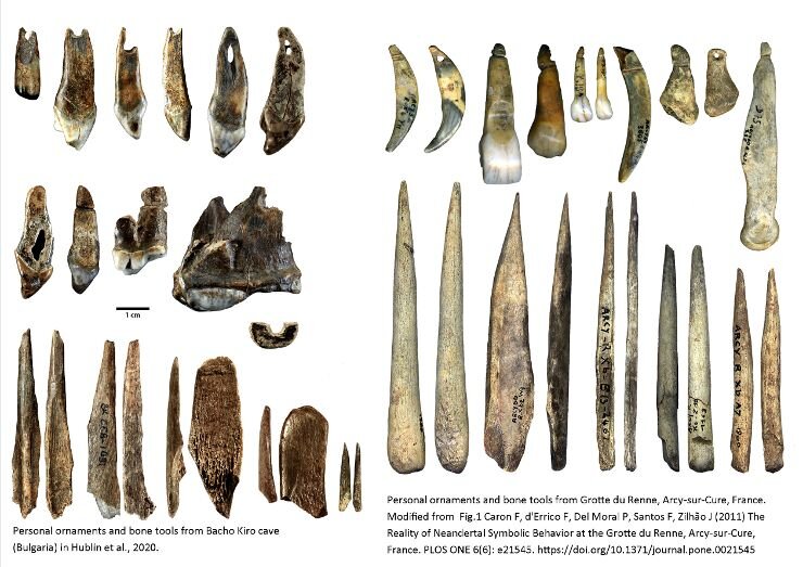 Украшения  и костяные инструменты из пещеры Бачо Киро (слева) и из пещеры Grotte  du Renne, Франция (справа). Артефакты из Бачо Киро оставлены H. sapiens и  датируются примерно 45 тыс. лет назад. Артефакты из Grotte du Renne  оставлены неандертальцами, и их возраст меньше. Credit: Розен Спасов и  Джефф Смит, MPI EVA Лейпциг, лицензия: CC-BY-SA 2.0