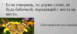 Проснулась с такой фразой ...