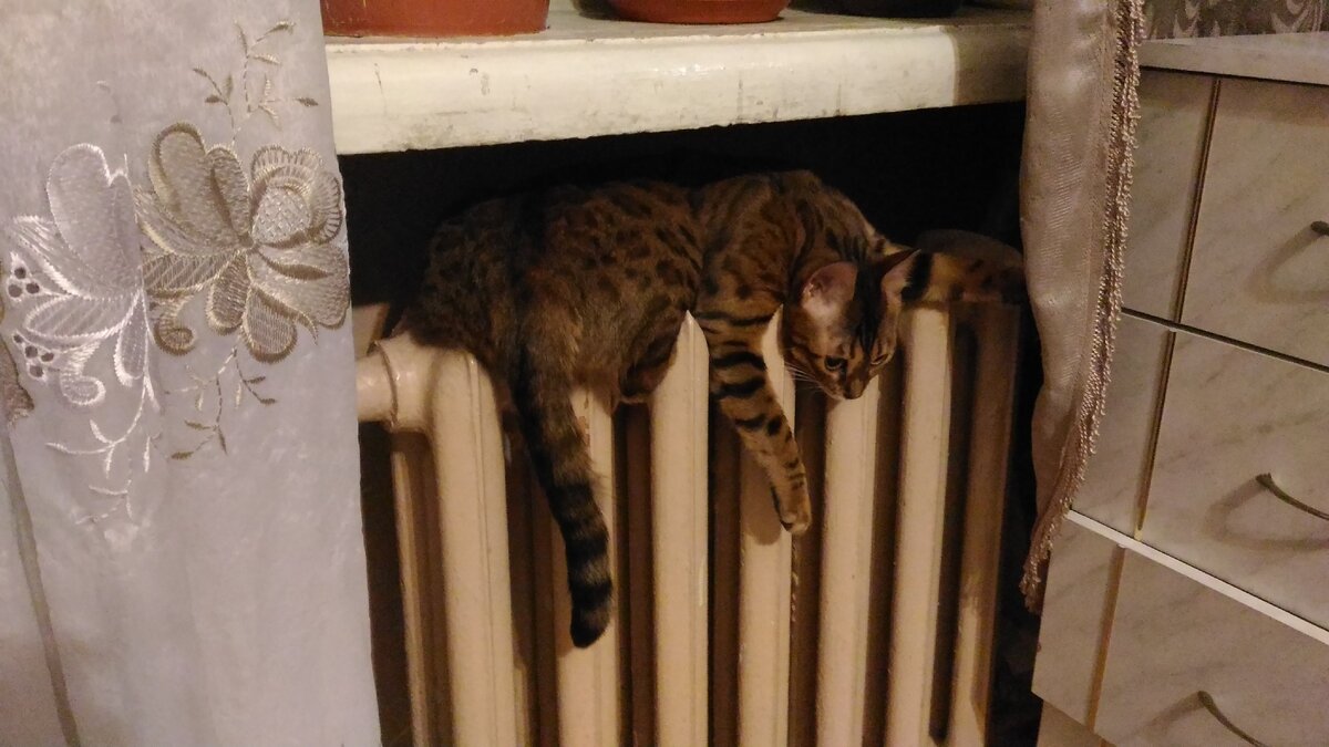зима, висим