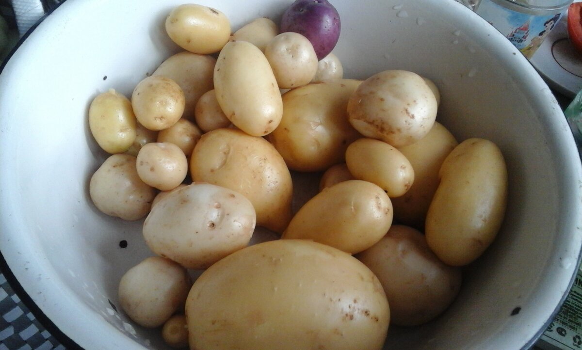 очень вкусная 