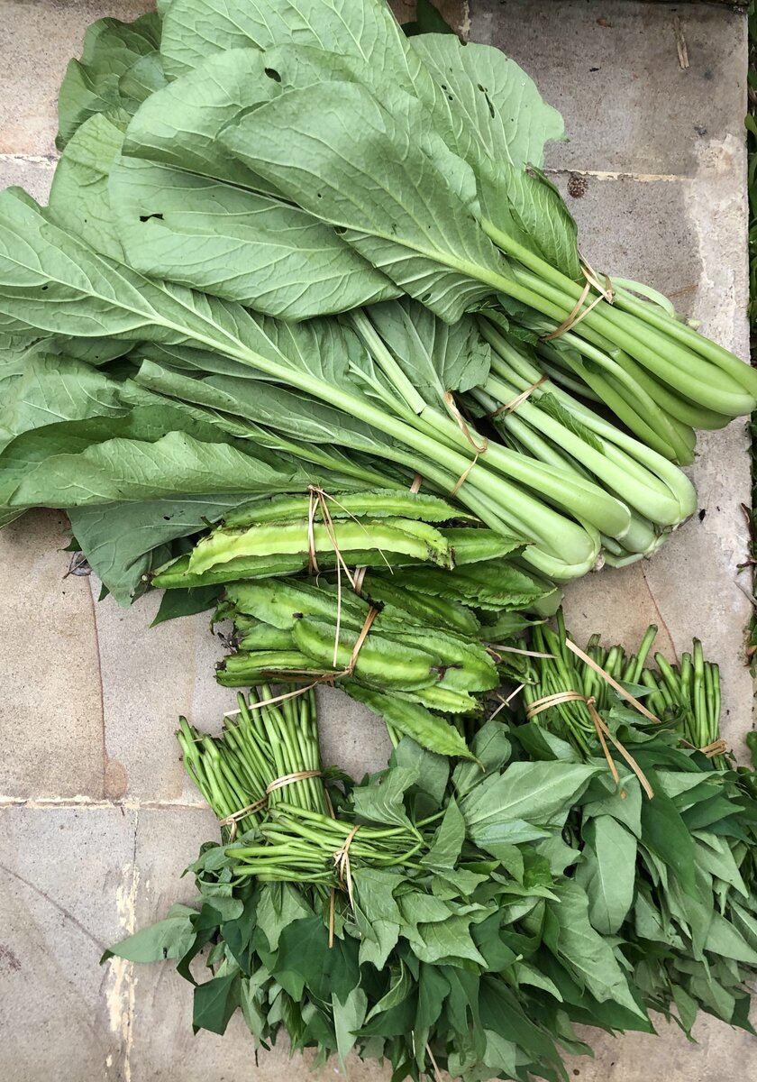 Овощи годятся любые, какие есть в хозяйстве