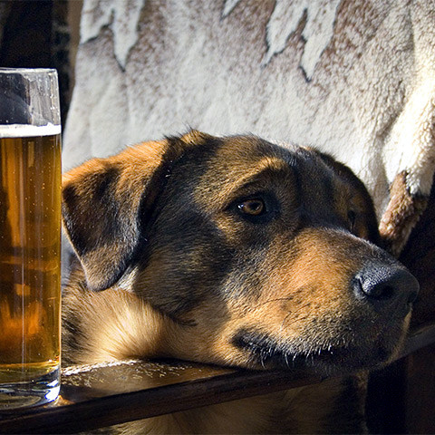 Фото с сайта dompict.com