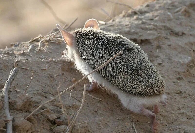 Всю ночь играл в комп, а уже рассвет(