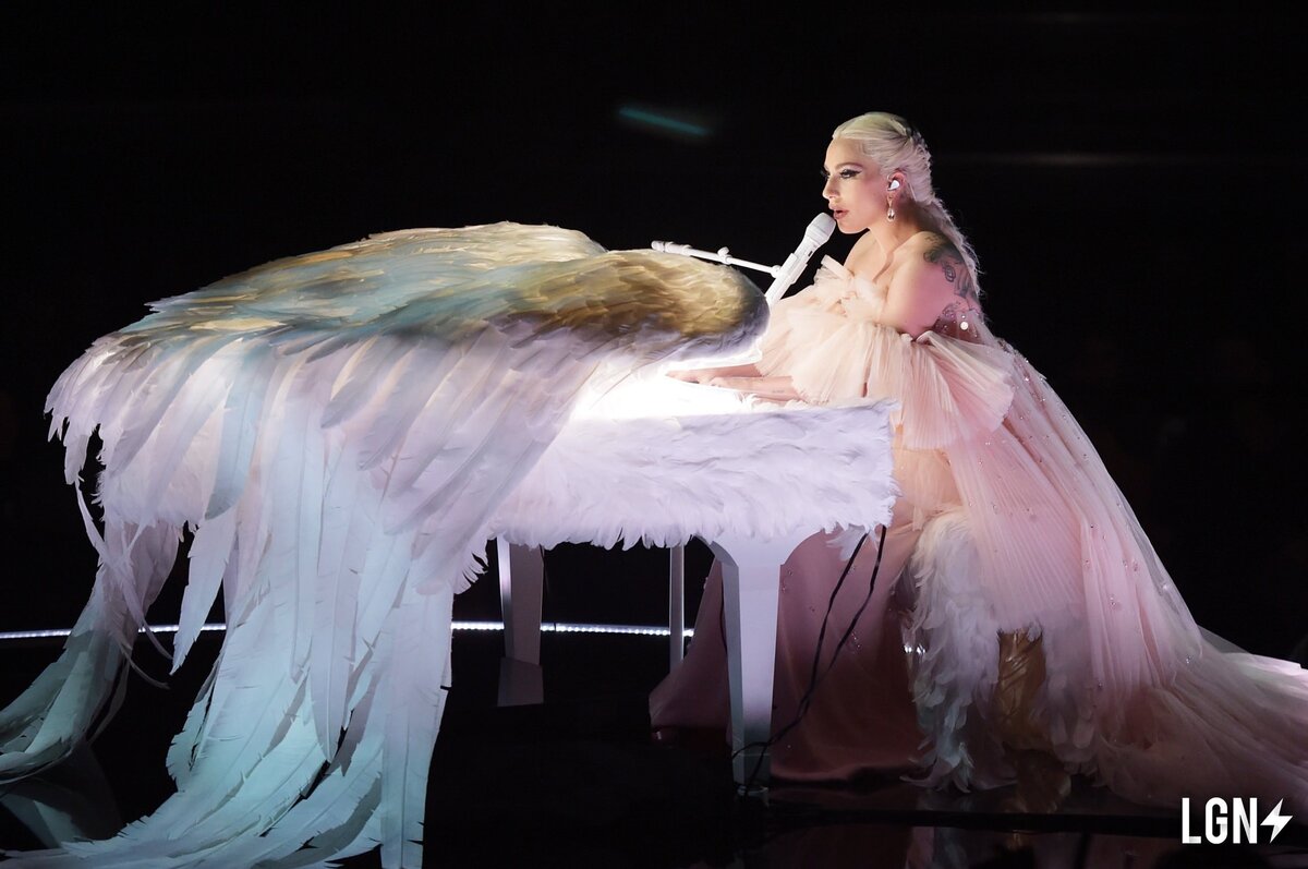 Lady Gaga на одном из своих шоу