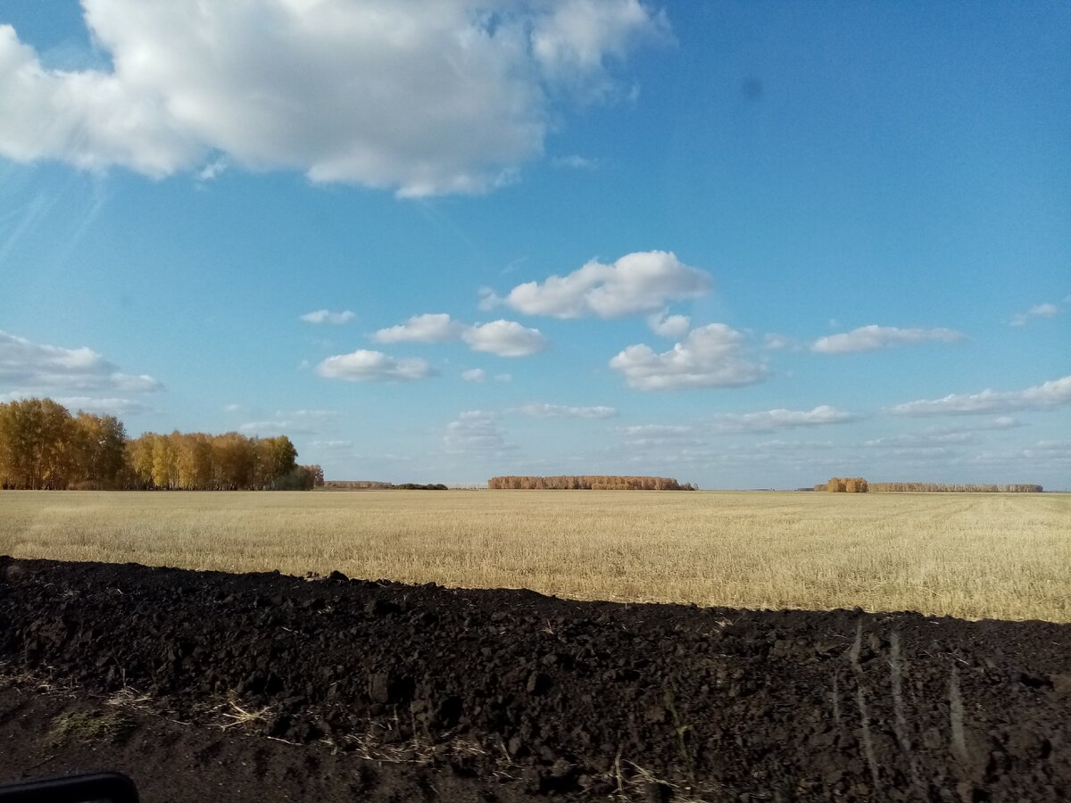 Фото автора. Для заголовка 