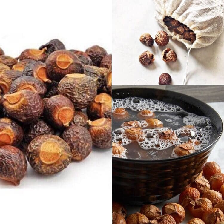 высушенные мыльные орехи, готовы к использованию