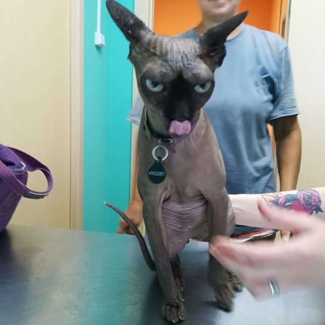 Я буду мстить. И мстя моя будет страшной...