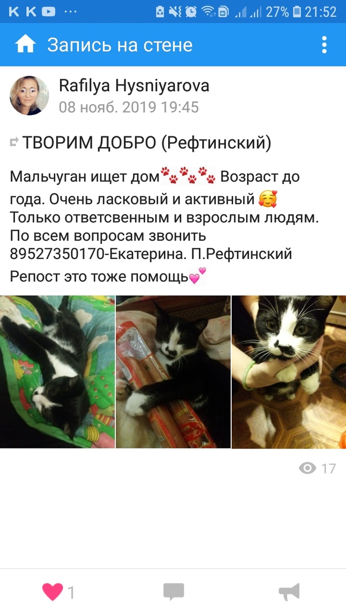 На следующий день разместили