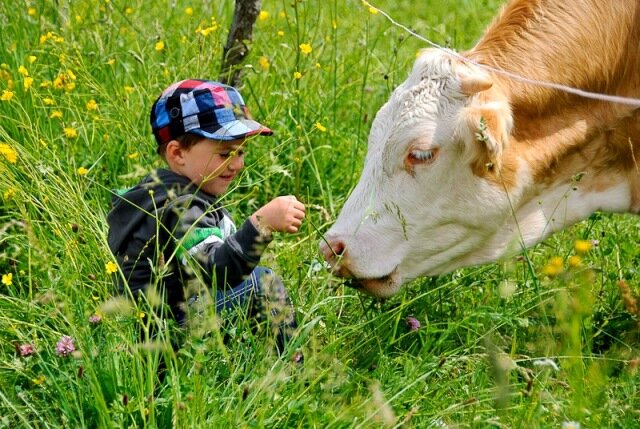 Фото из открытых источников Интернета