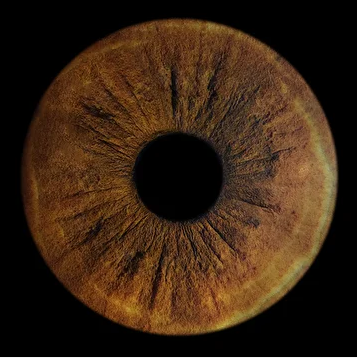  
 Фото радужки