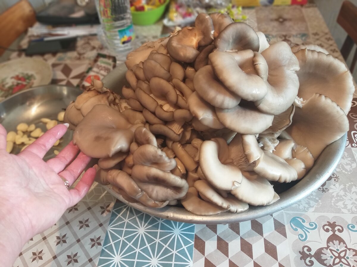 Урожай 2020 года