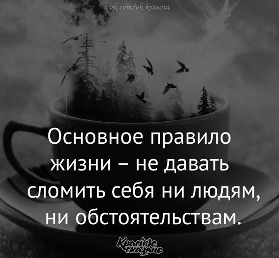 Яндекс Картинки 