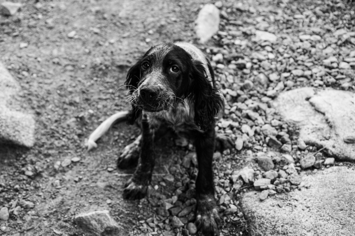 Photo by Ariel Pilotto on Unsplash