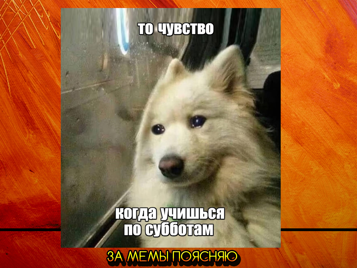 За мемы поясняю