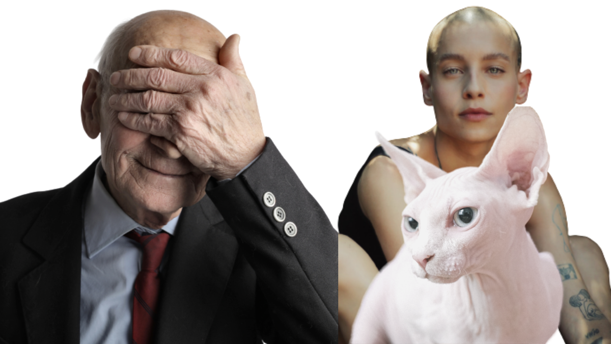 Микс аффтара из фото с сайта pexels.com