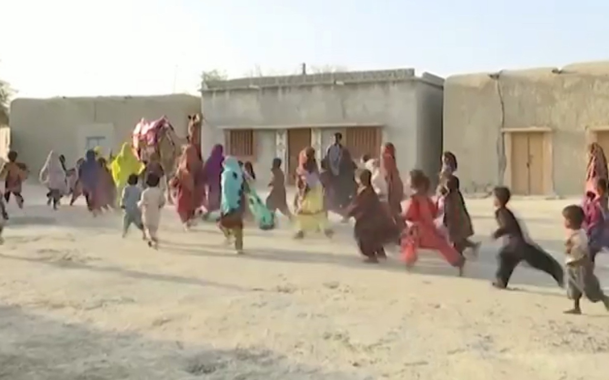 Верблюд по кличке Рошан привозит книги детям, которые пока не могут ходить в школу © кадр из видео