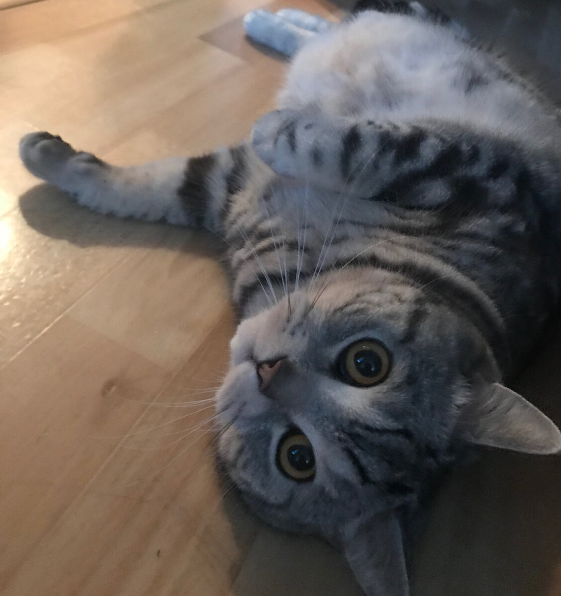 Ждём добавки.