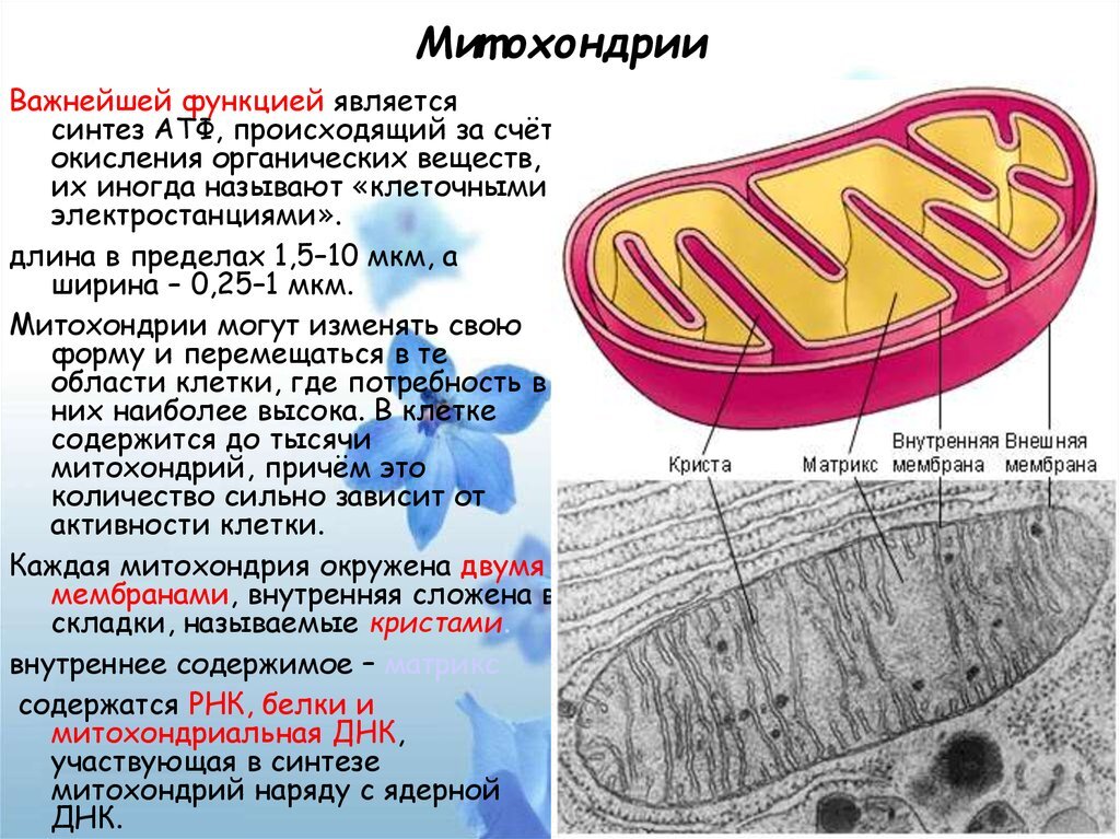 Сила энергии людей