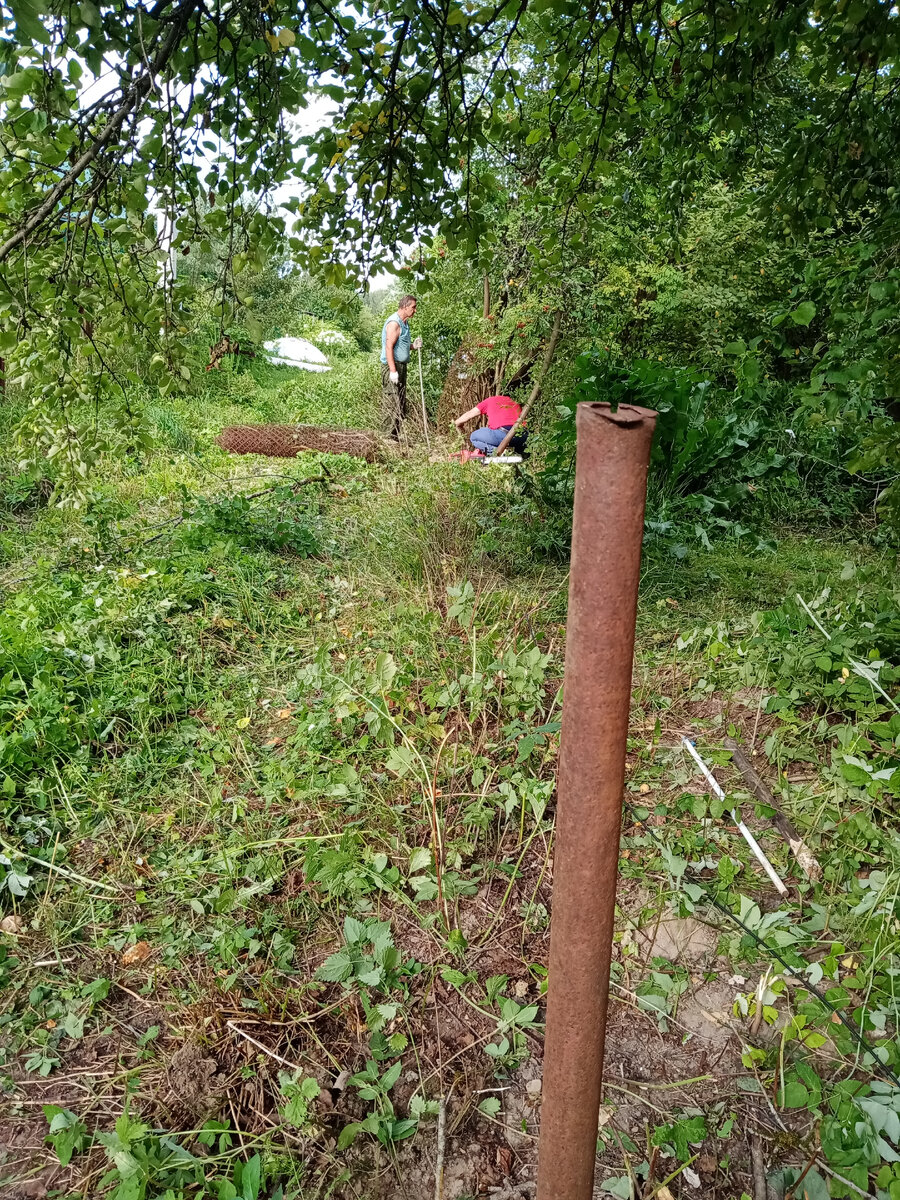 Снесли старый забор,зачищают территорию. Личное фото автора канала