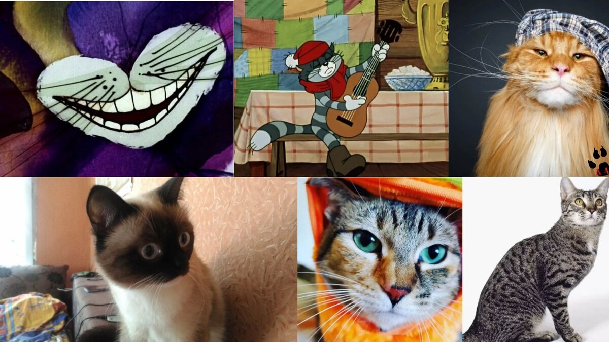 Команда канала Алфавит в 4 лапы