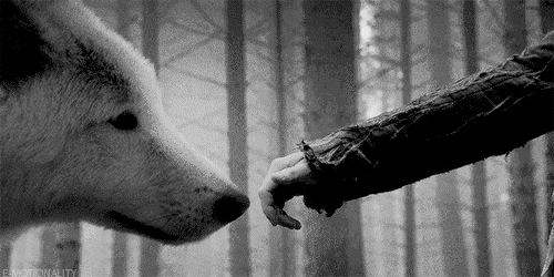 Изображение взято из открытого источника Яндекс-Картинки