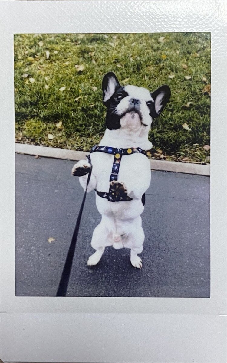 Источник: архив редактора