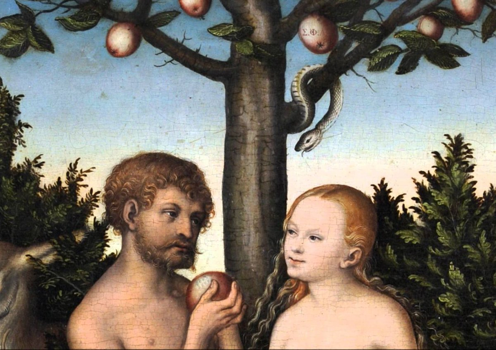 Фото из открытых источников.