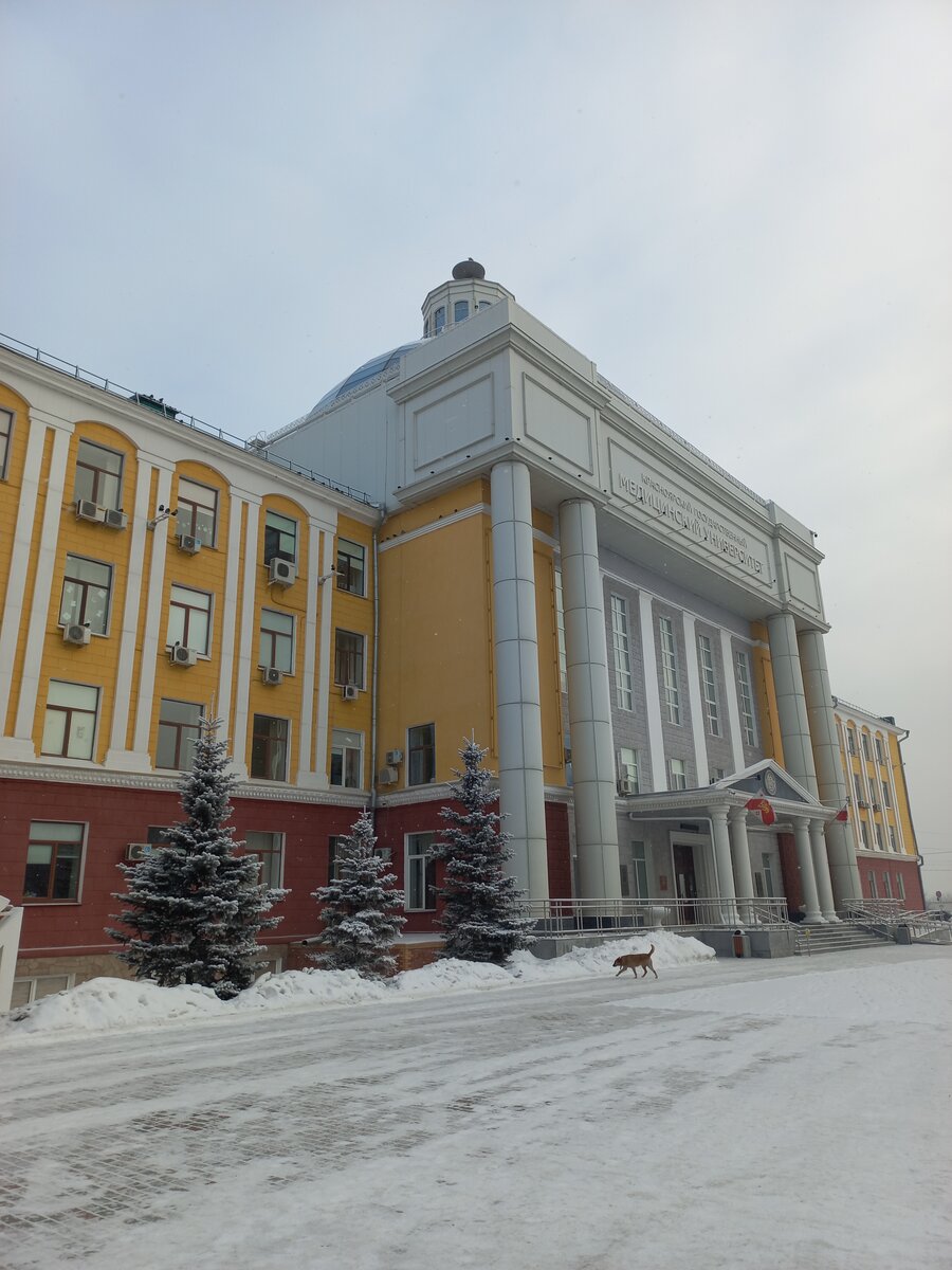 Здание КрасГМУ