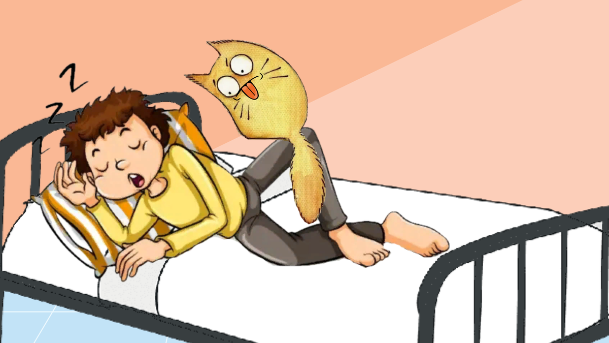 Картинка автора канала