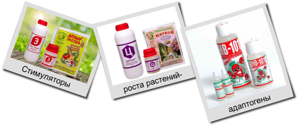 Стимуляторы для роста и развития растений, безопасные для людей и домашних животных