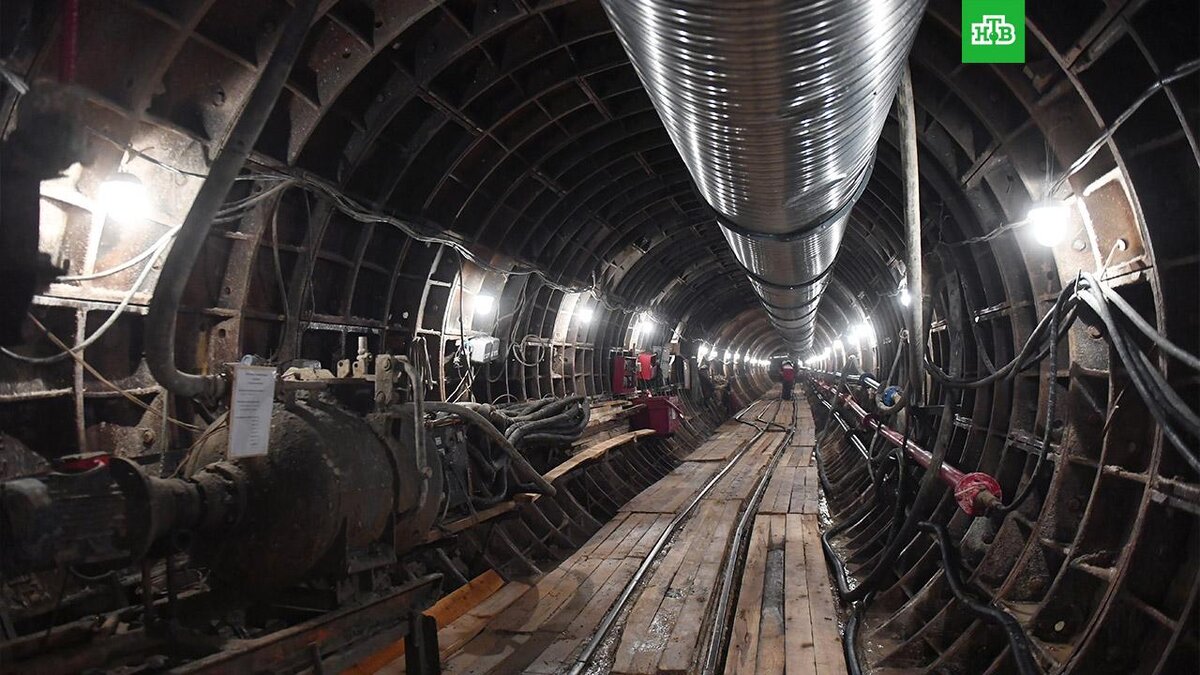    Фото: РИА Новости © 2022, Сергей Мамонтов