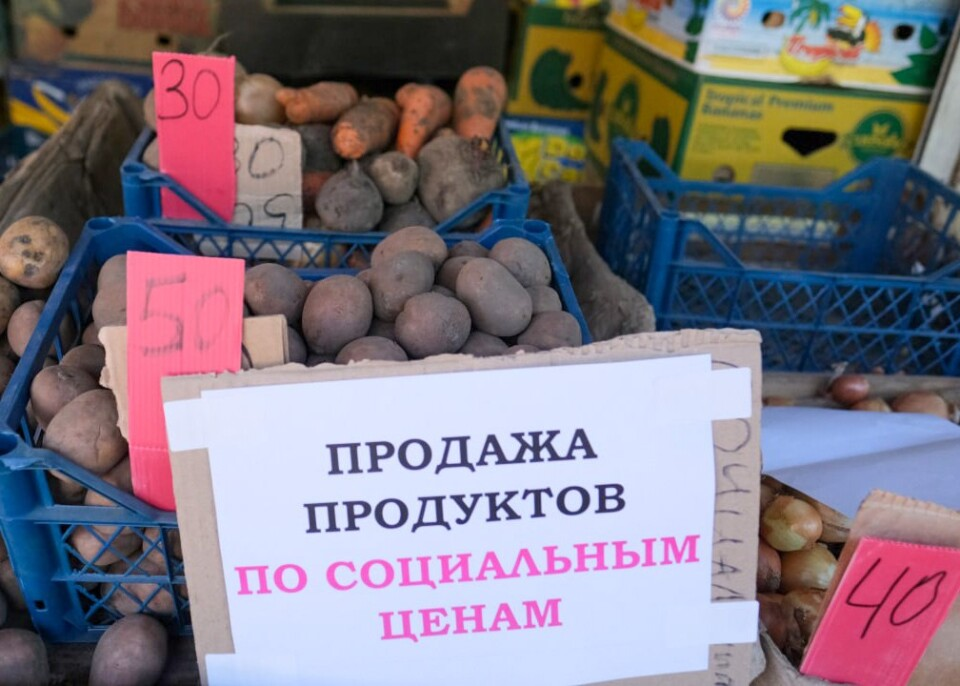 Фото: Янина Павленко/Telegram