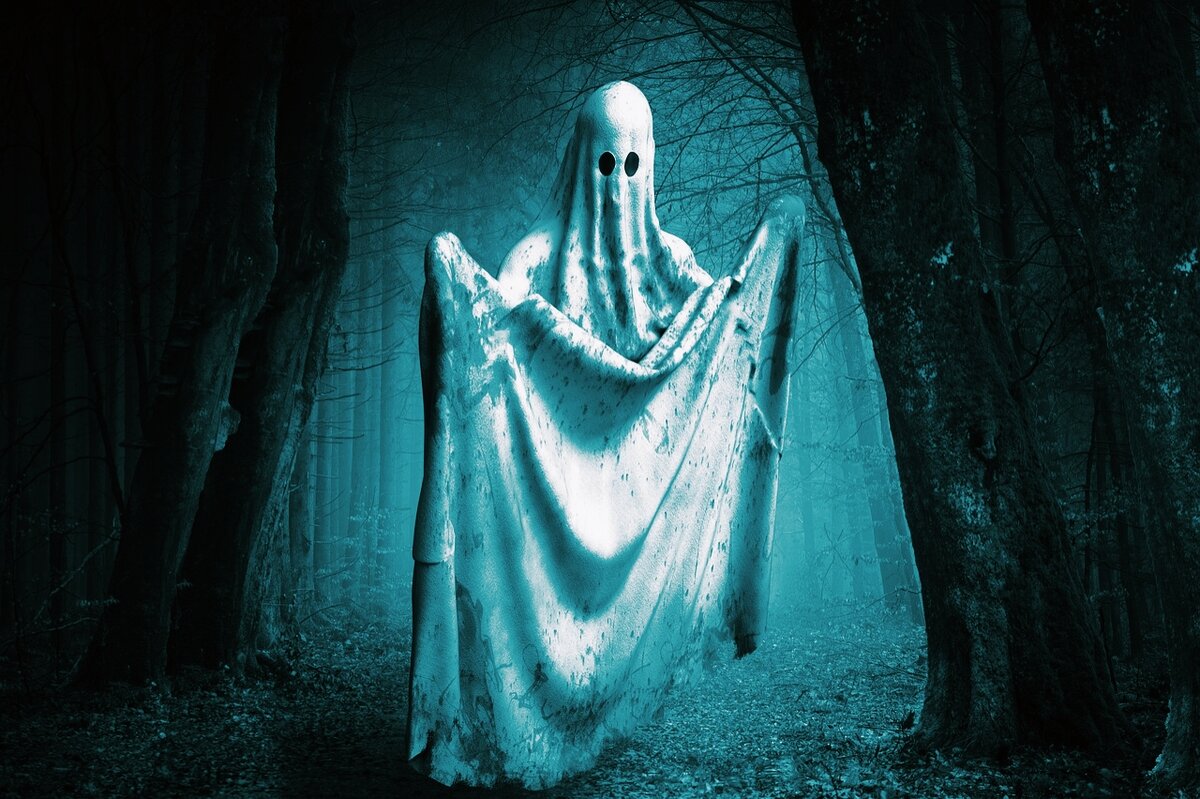 Веселое привидение. Каких приведений. Фантом призрак. Существуют ли приведения. Фотографии привидений.