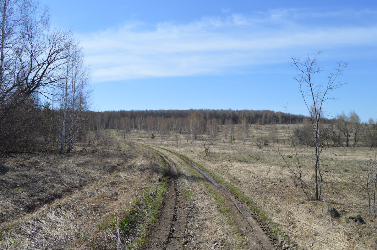 Апрель. Фото автора