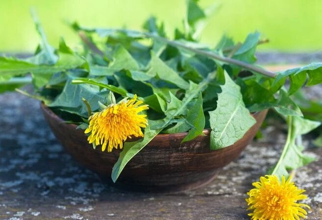 Весной в садах и дворах по всей стране появляются одуванчики. Хотя их считают проклятием садоводов, знающие повара отмечают, что это вкусное лакомство. (nada54/Shutterstock)