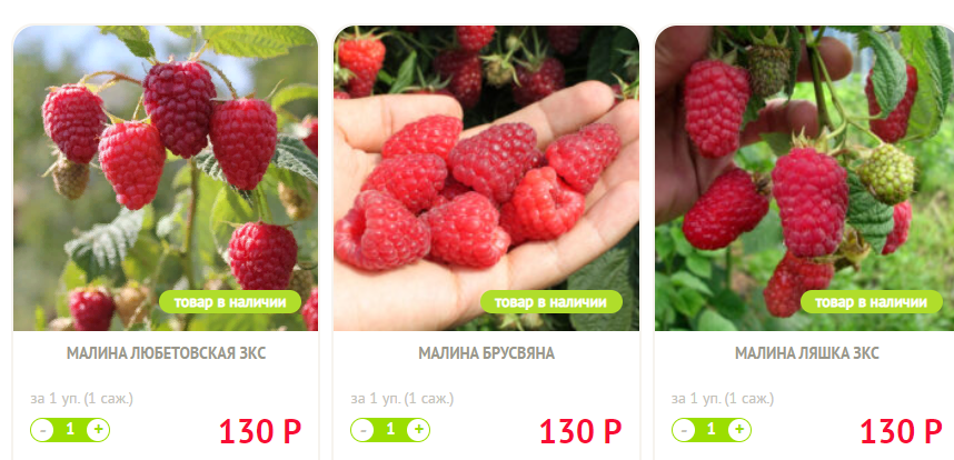  В магазине саженцы малины продают от 130 ₽
