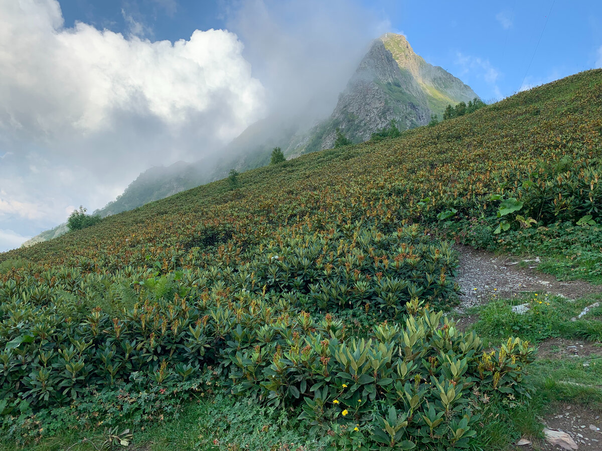 Где-то по пути на вершину Черная Пирамида. Курорт Красная Поляна. Мобильное фото автора