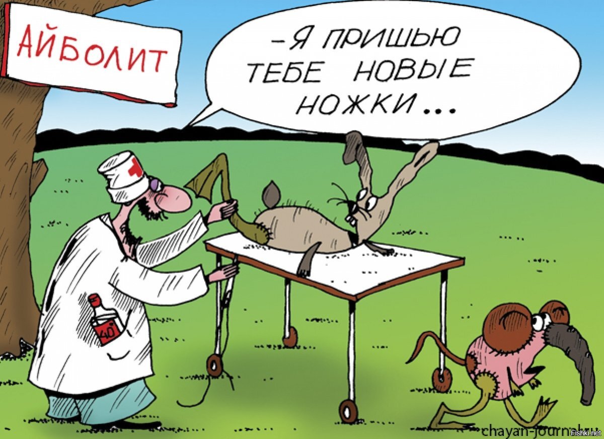 Анекдоты ветеринара. Карикатуры на Айболита. Доктор Айболит карикатура. Шутка про доктора Айболита. Доктор Айболит прикол.