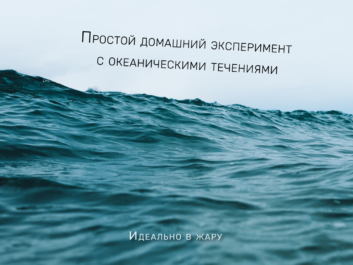 Простой домашний эксперимент с океаническими течениями | Sciencely — Умный  журнал. Естественные науки для детей. | Дзен