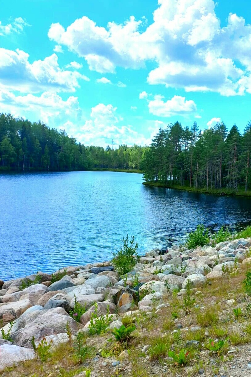 Авторское фото