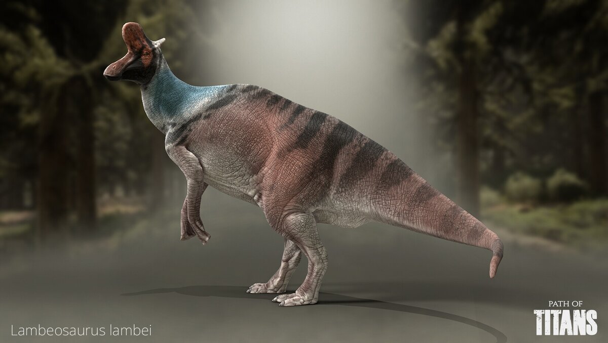 С гребнем, но не петух, горбатый, но не верблюд.