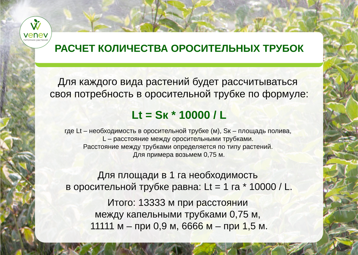 Как рассчитать систему капельного полива в питомнике растений | Венев  Питомник растений | Дзен