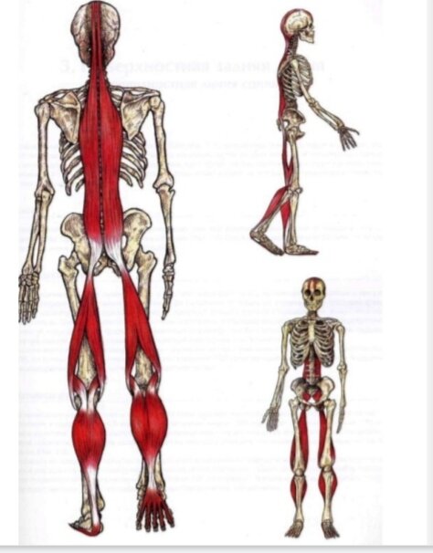  🤔для тех у кого болят спина и суставы  💊 когда у человека болит например, поясница и колени, есть проблемы в шее и кистях, он редко связывает эти боли.-2