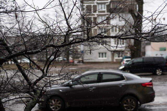   Фото из архива Калининград.Ru
