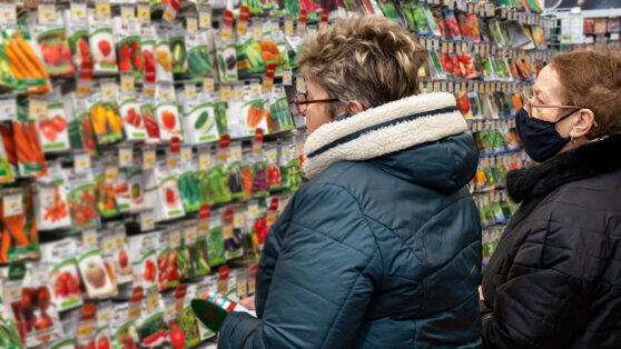    Как выбрать качественные семена: советы экспертов Ирина Петрова