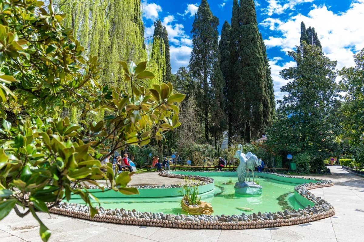    В Сочи объявили грантовый конкурс для учреждений культуры