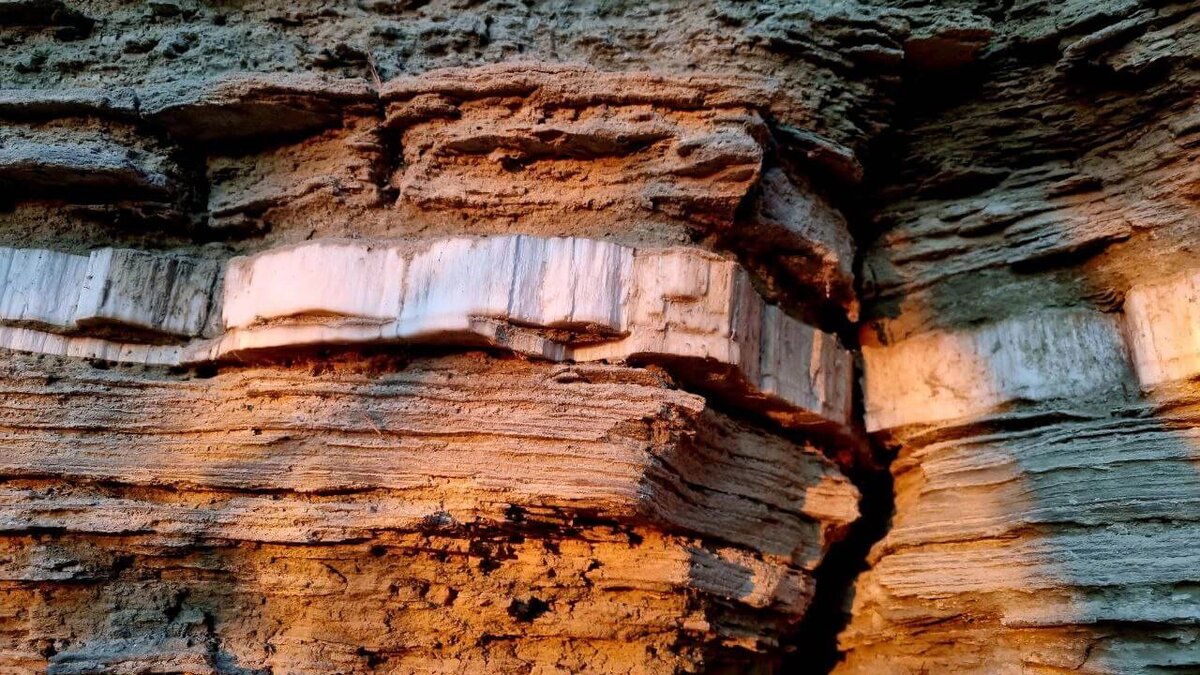 Экологическая тропа. Селенитовый срез. Фото: Марина Чеботаева