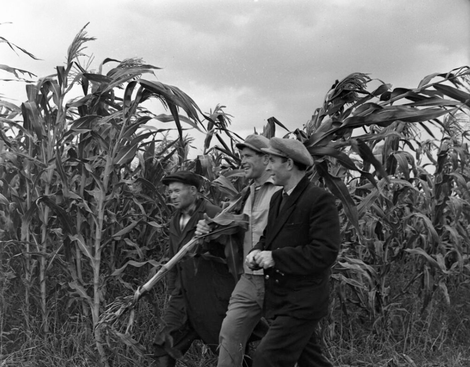 Фото А. Морозова / РИА Новости