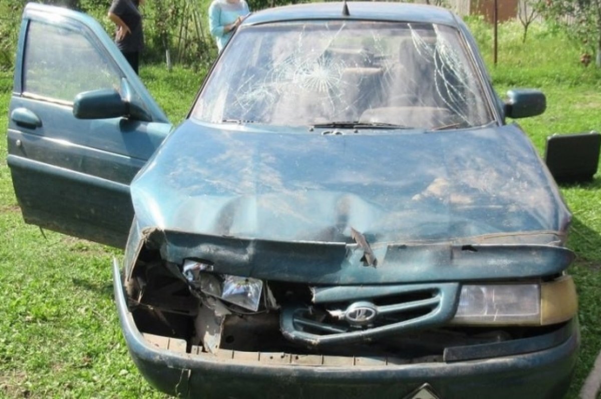    44-летний водитель ВАЗа ночью вылетел в кювет в Брасовском районе Брянщины