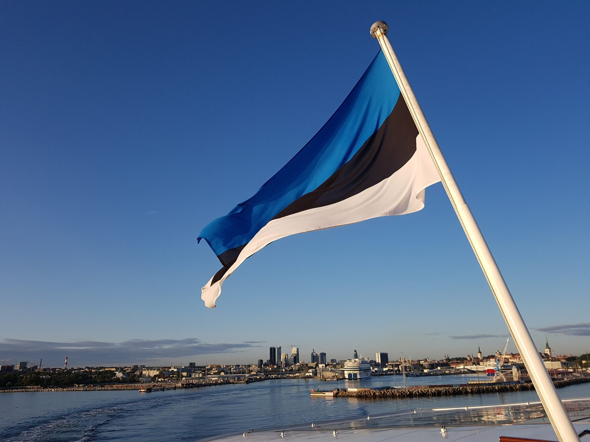 Эстонский флаг